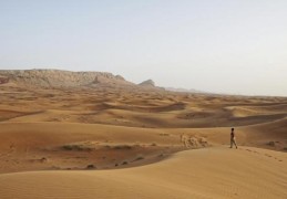 世界气象组织：上周是有记录以来最热的一周