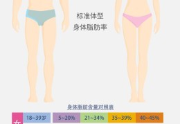 电子脂肪卡尺对照表